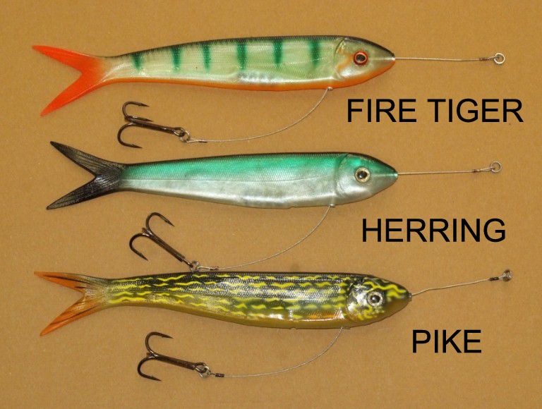 RIVER 2 SEA MR. WHIGGLEY FIRE TIGER