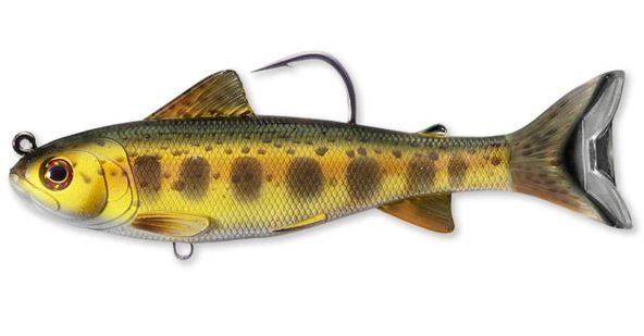 TROUT PARR GOLD/OLIVE