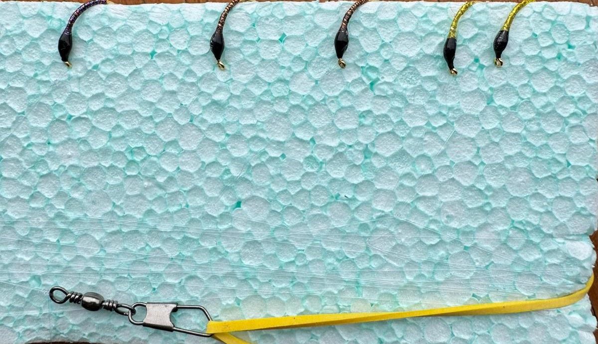 MONTATURA 10 AMI DEL 14 - OLOGRAFICHE N. 4 - STELLAR, LIMONE, COPPER E CLARET