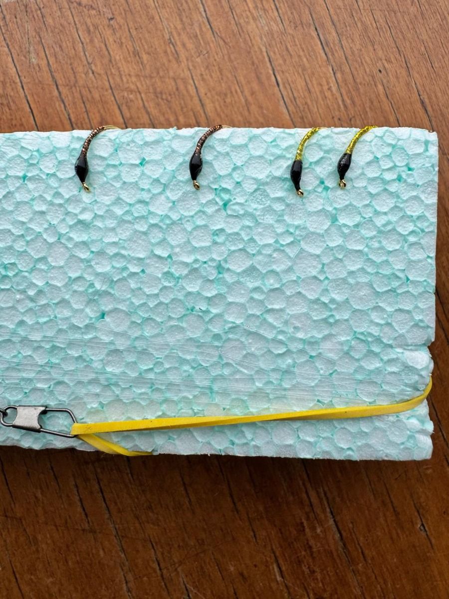 MONTATURA 10 AMI DEL 14 - OLOGRAFICHE N. 4 - STELLAR, LIMONE, COPPER E CLARET