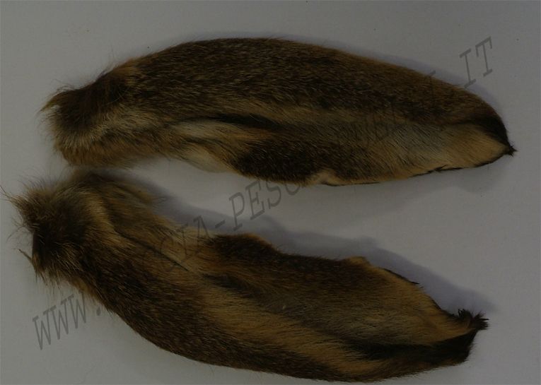 ORECCHIE CONIGLIO NATURAL