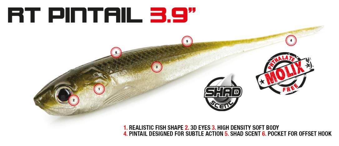 MOLIX RT PINTAIL 3.9