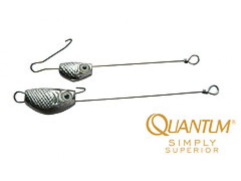 QUANTUM ASSIST LEAD SYSTEM 