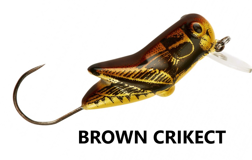 REBEL MICROHOPPER SENZA ARDIGLIONE BROWN CRICKET