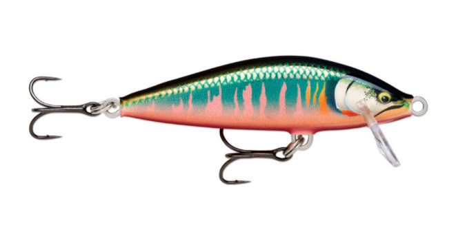 RAPALA Countdown Elite - 5,5 cm - 5 g - Gilded Oikawa (GDOK)