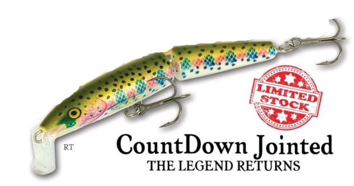 Rapala Jointed 11 countdown RT