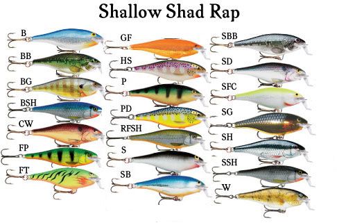 RAPALA SHALLOW SHAD RAP