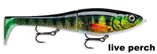 RAPALA X-RAP-PETO - LIVE PERCH