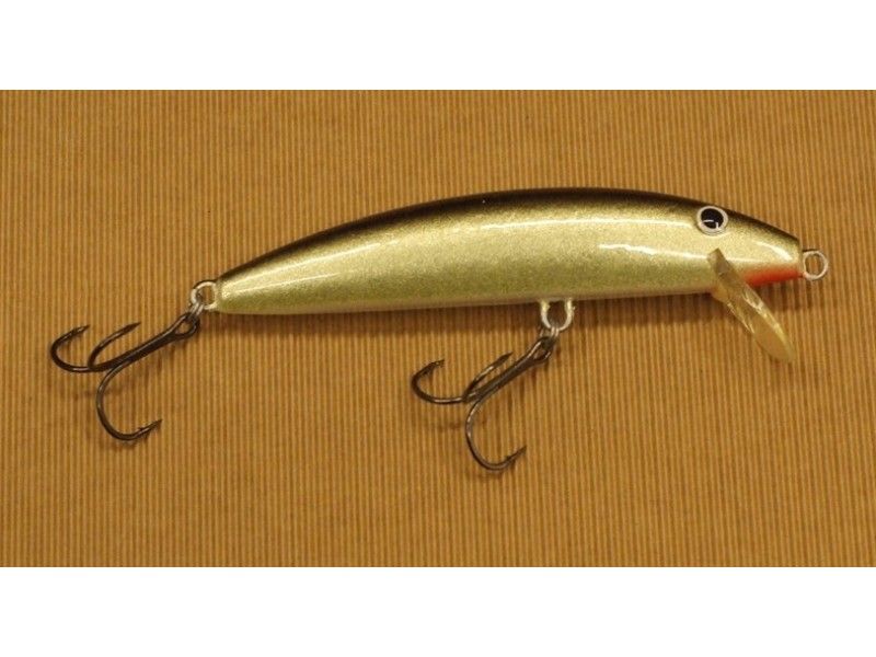 REAL WINNER MINNOW GR