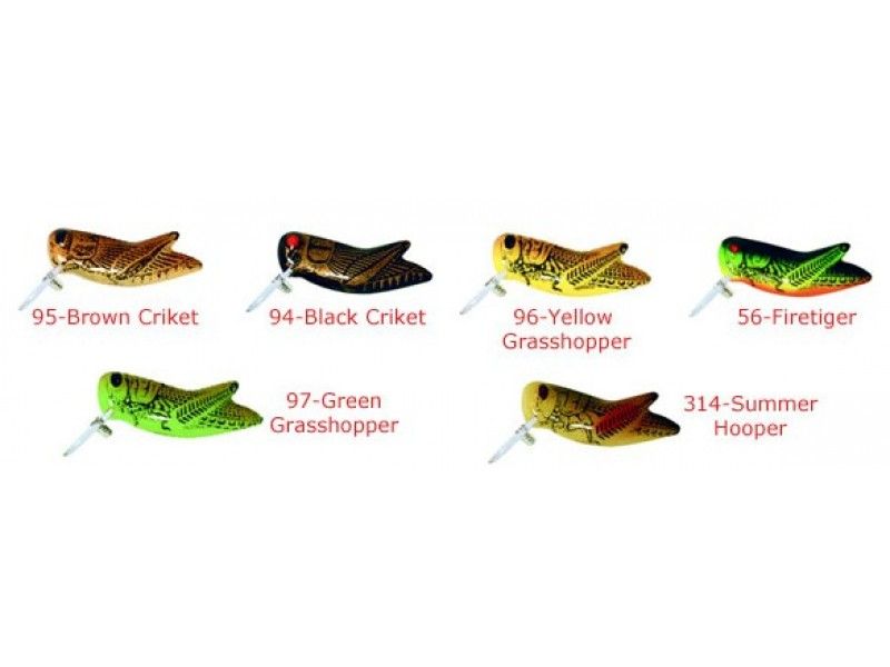 REBEL CRICKHOPPER 