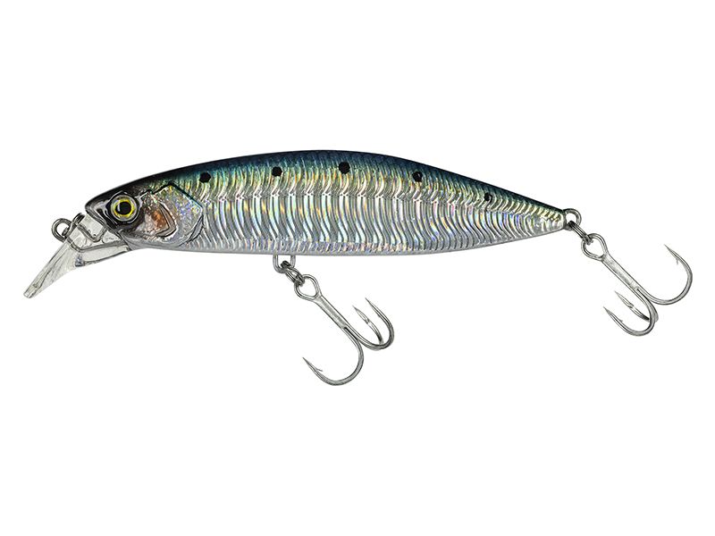 ROLLING MINNOW FS #SW19 REAL SARDA