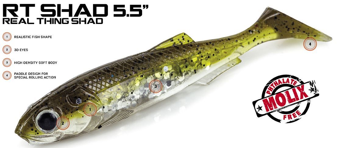 MOLIX RT SHAD 5.5