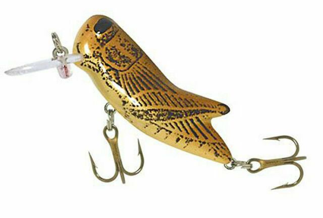 REBEL CRICKHOPPER - BROWN CRICKET