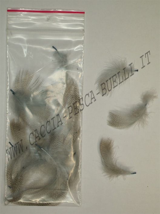 SEVERO E MARI PERNICE GRIGIA