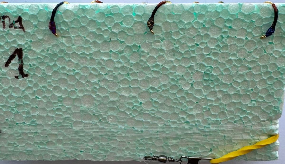 MONTATURA 10 AMI DEL 14 - SFUMATA N. 1 - NOCCIOLINO, MARRONE, BLU E VERDE