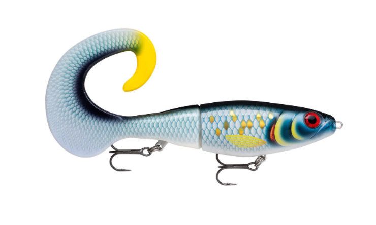 scaled baitfish rapala x-rap