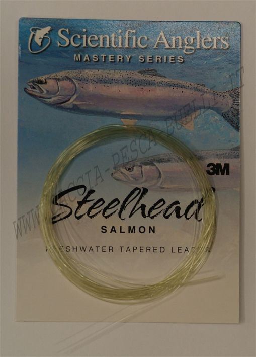 SCIENTIFIC ANGLERS FINALE SALMON 10LB - 10FT