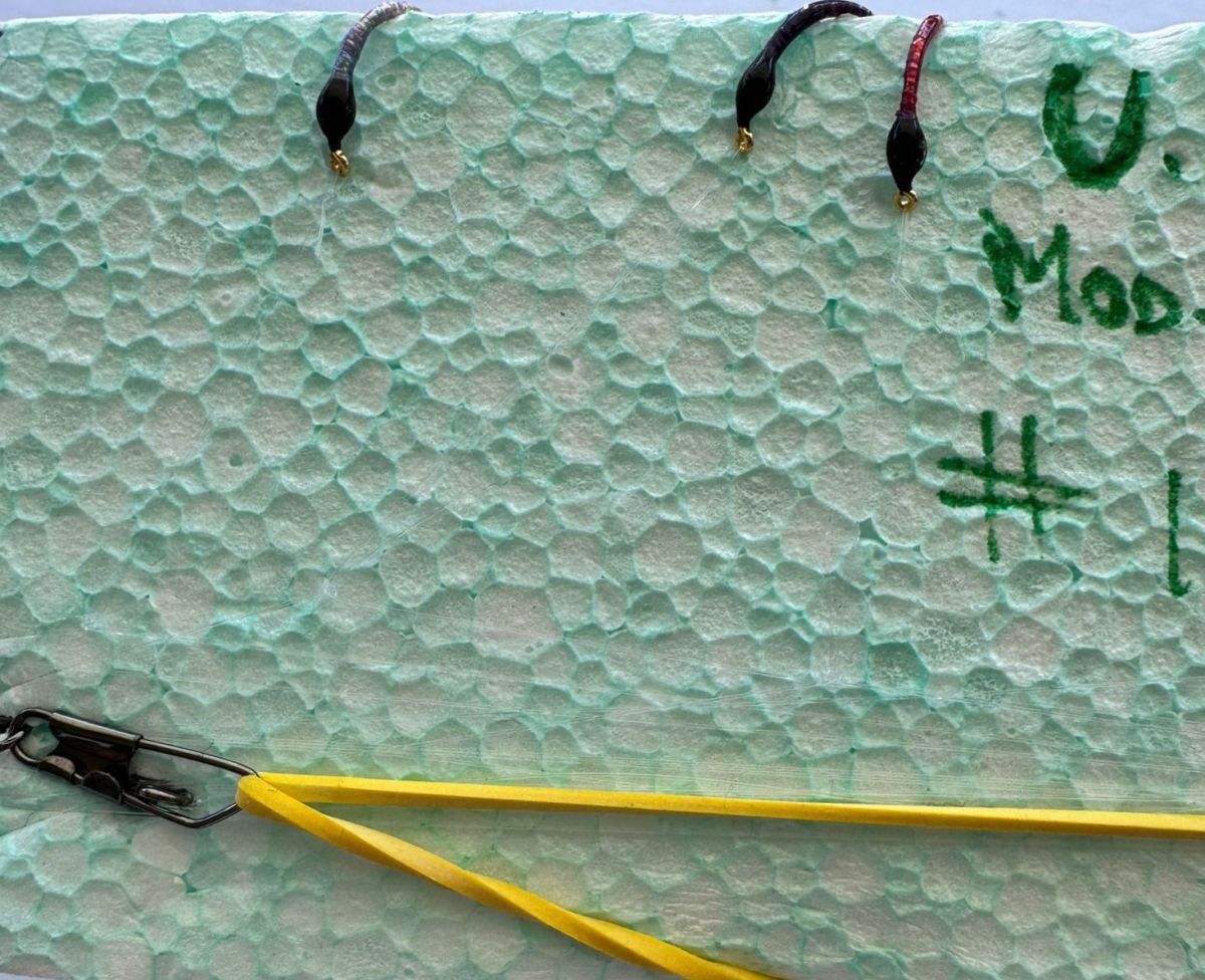 MONTATURA 10 AMI DEL 14 - UV N. 1 - CLARET, PURPLE E LILLA