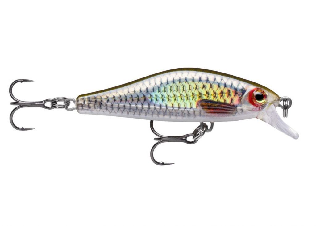 RAPALA - SHADOW RAP SOLID SHAD - 6 CM - 7 G - Live Roach (ROL)