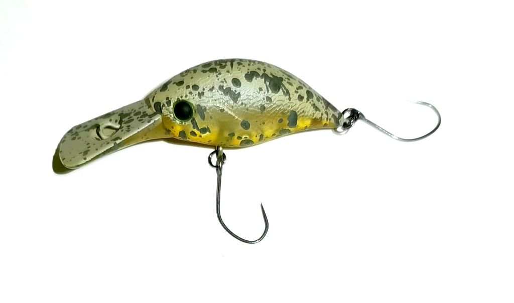 SMITH LTD. | SIBO-CRA MR-F COL.05  