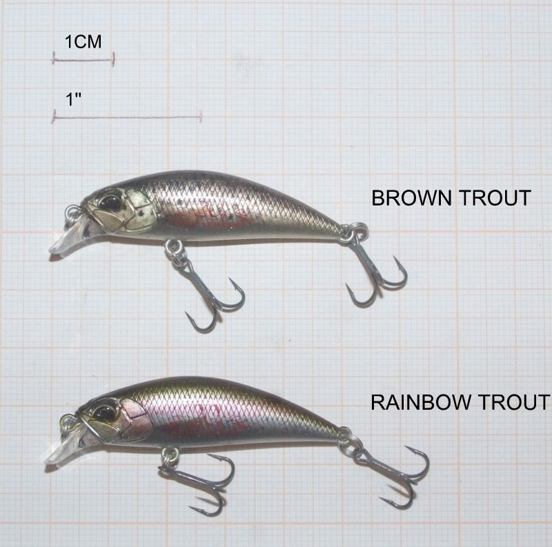 DUO RYUKI 45 S SPERHEAD SINKING 20 ANNIVERSARIO 