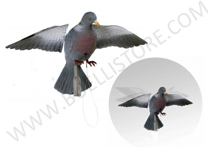 STAMPO COLOMBACCIO ALI ROTANTI