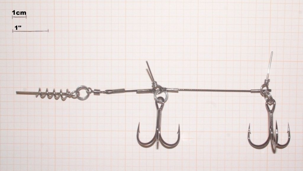 CARSON PIKE RIG - MONTATURA PRONTA PER ESCHE SILICONICHE