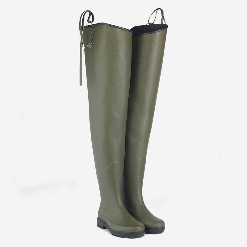 LE CHAMEAU DELTA LIMAILLE EVO N.41