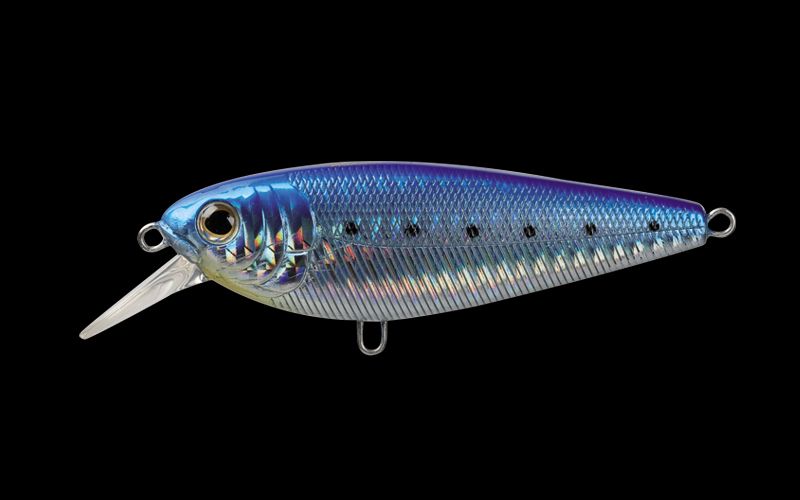 MOLIX BRUGAS R #249 SPRING SARDA 