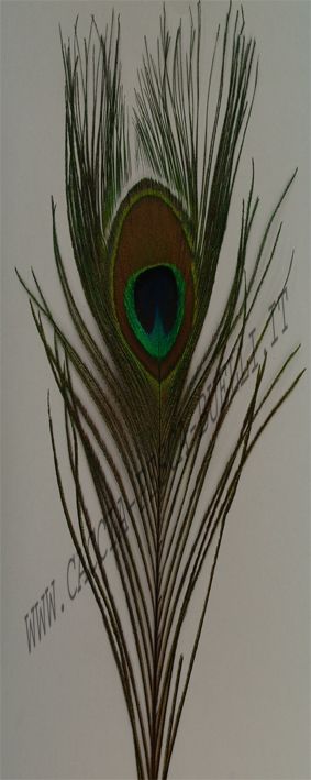 VENIARD OCCHIO DI PAVONE BROWN