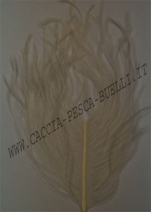 VENIARD PIUME STRUZZO WHITE