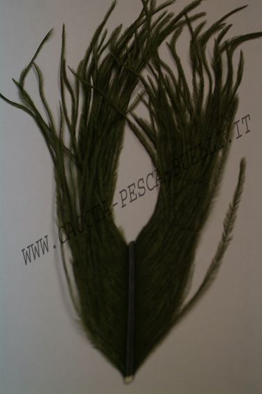 VENIARD PIUME STRUZZO BROWN OLIVE