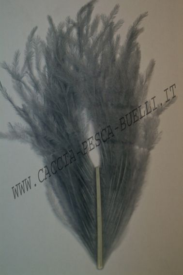 VENIARD PIUME STRUZZO GRAY