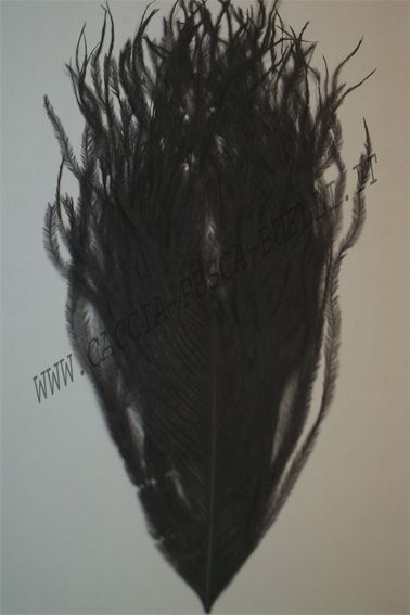 VENIARD PIUME STRUZZO BLACK