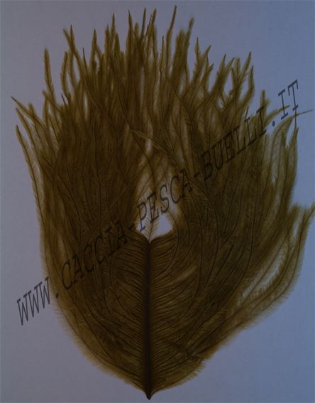 VENIARD PIUME STRUZZO OLIVE