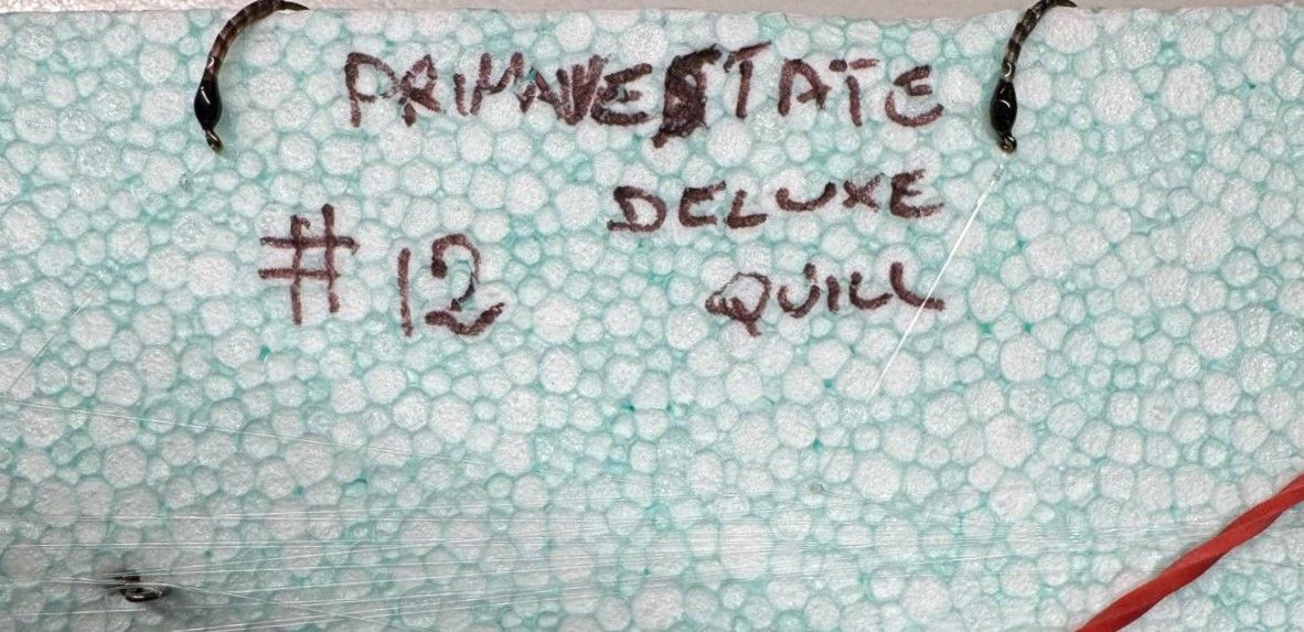 MONTATURA 10 AMI DEL 12 - PRIMAVERA/ESTATE QUILL DELUXE 