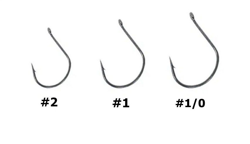 DAMIKI WACKY HOOK VARIE MISURE