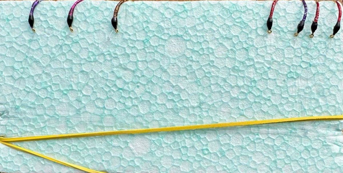 MONTATURA 10 AMI CON AMO DEL 14 - HOLOGRAFIC #1 