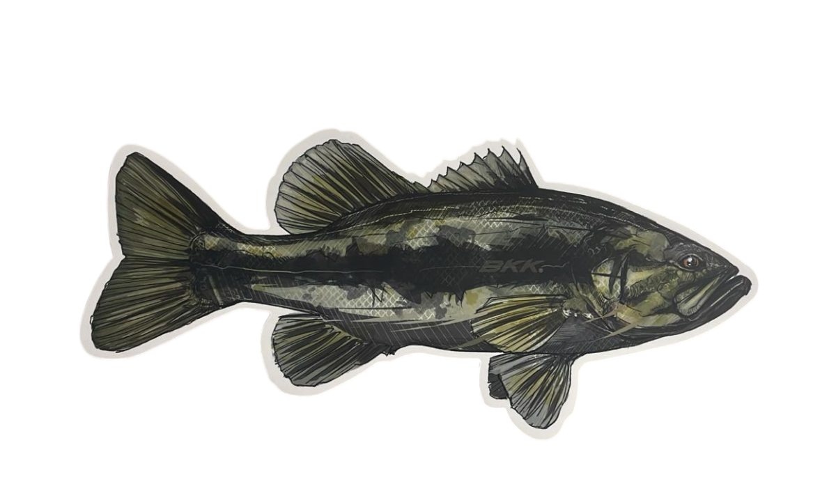 OMAGGIO PESCA PER ORDINE SUPERIORI A  |ADESIVO BKK