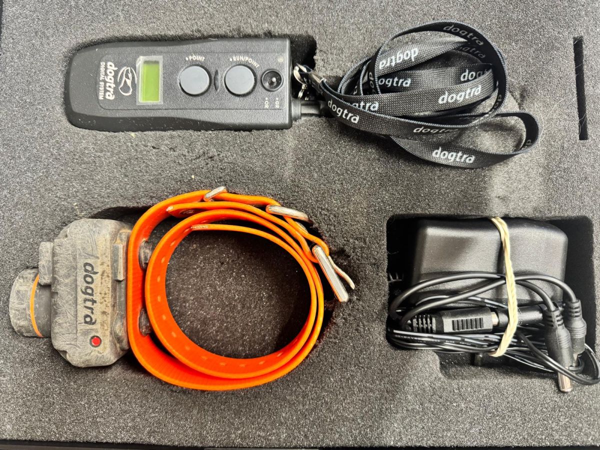 DOGTRACE USATO SET DA 2 DOGTRA RB1200