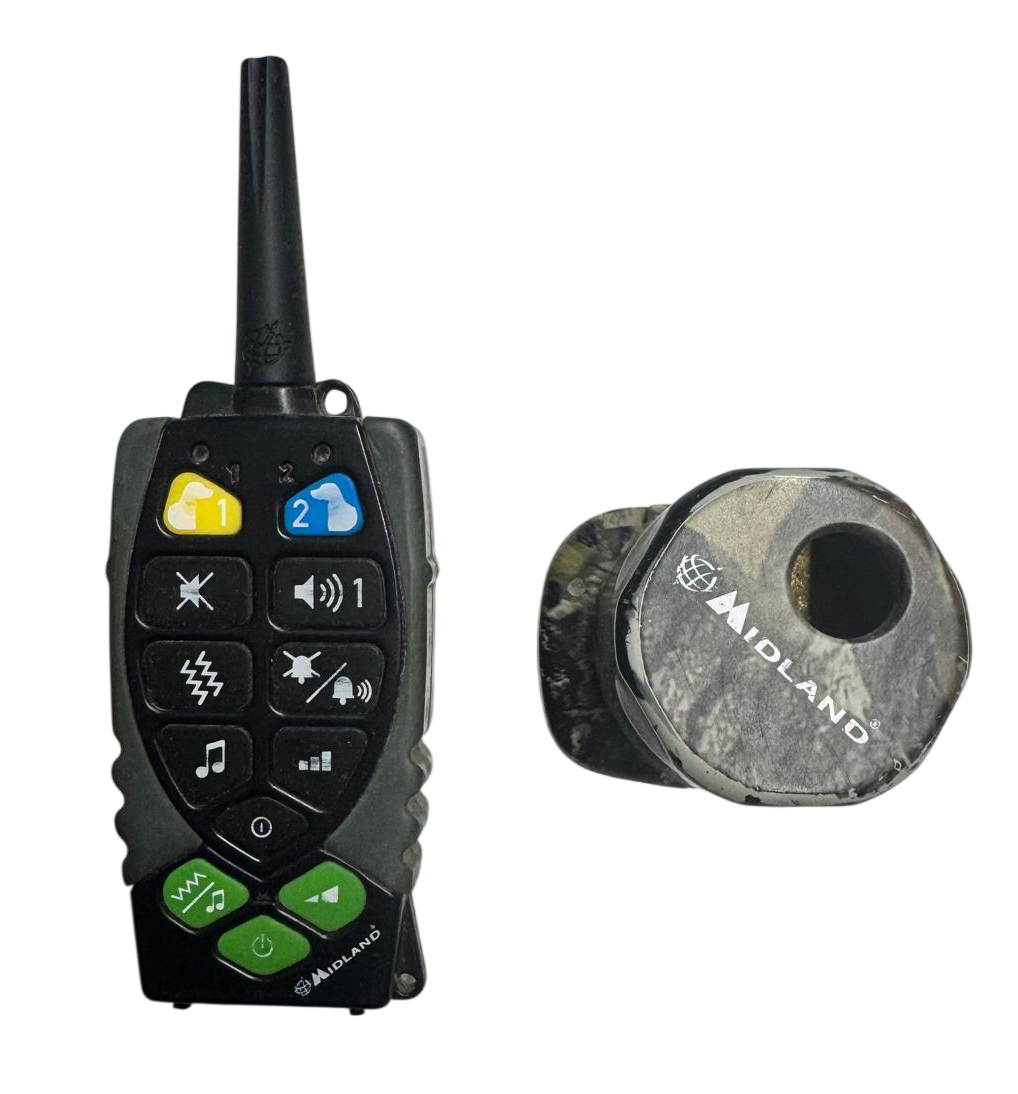 CANICOM BEEPERONE PRO CON TELECOMANDO USATO