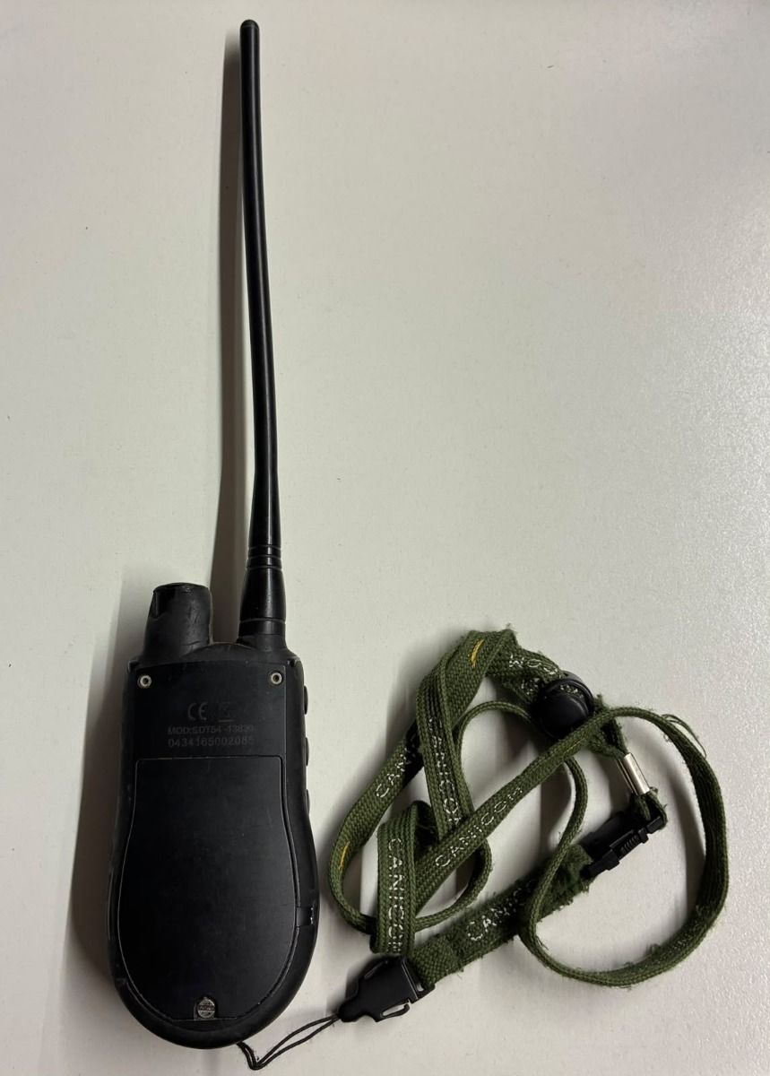 SPORTDOG - PALAMARE TEK 1.0  CON CARICATORE  - USATO
