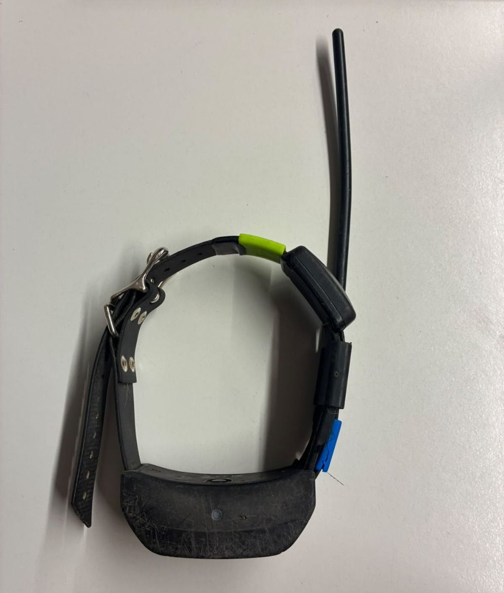 SPORTDOG - COLLARE  TEK 2.0  SATELLITARE GPS USATO 