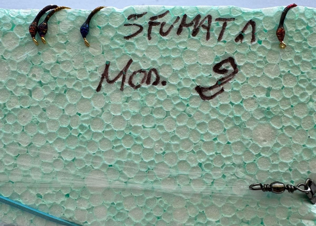 MONTATURA 10 AMI DEL 14 - SFUMATA N. 2 - NERO, VIOLA, ROSSO E OLIVA