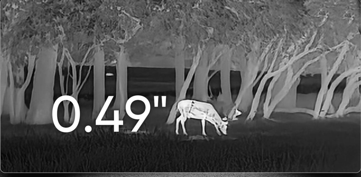 MONOCOLO TERMICO LINX 3.0 256*192 e 320*240