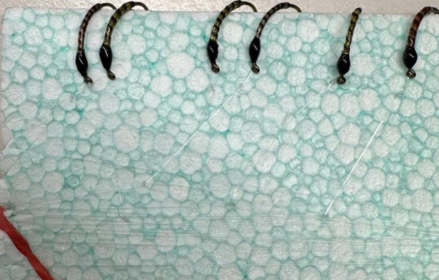 MONTATURA 10 AMI DEL 14 - PRIMAVERA/ESTATE QUILL DELUXE 