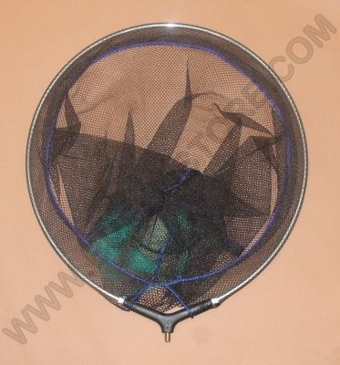 TESTA GUADINO CON RETE STRETTA DIAMETRO TESTA 45 CM