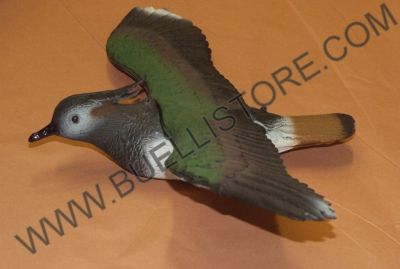 STAMPO PAVONCELLA IN VOLO