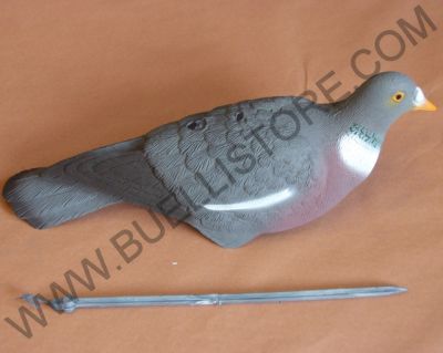 SPORT PLAST COLOMBACCIO A CONCHIGLIA