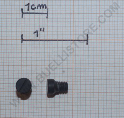BENELLI VITE FISSAGGIO SUPPORTO CANNOCCHIALE - M3 - RAFFAELLO V.T - RAFFAELLO N.T.- 1PZ -  G0108201